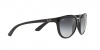 RB4165L Justin Sunglasses