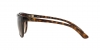 RB4165L Justin Sunglasses