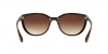 RB4165L Justin Sunglasses