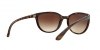 RB4165L Justin Sunglasses