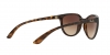 RB4165L Justin Sunglasses