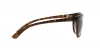 RB4165L Justin Sunglasses