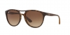 RB4170 Brad Sunglasses