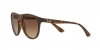 RB4170 Brad Sunglasses