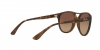 RB4170 Brad Sunglasses