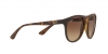 RB4170 Brad Sunglasses