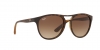 RB4170 Brad Sunglasses