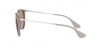 RB4171 Erika Sunglasses
