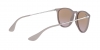 RB4171 Erika Sunglasses