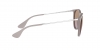 RB4171 Erika Sunglasses