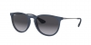 RB4171 Erika Sunglasses