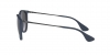 RB4171 Erika Sunglasses
