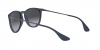 RB4171 Erika Sunglasses
