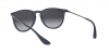 RB4171 Erika Sunglasses