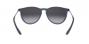 RB4171 Erika Sunglasses