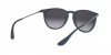 RB4171 Erika Sunglasses
