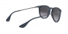 RB4171 Erika Sunglasses