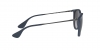 RB4171 Erika Sunglasses