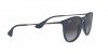 RB4171 Erika Sunglasses