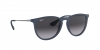 RB4171 Erika Sunglasses