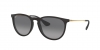 RB4171 Erika Sunglasses