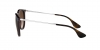 RB4171 Erika Sunglasses