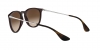 RB4171 Erika Sunglasses