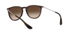RB4171 Erika Sunglasses