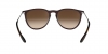 RB4171 Erika Sunglasses