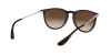 RB4171 Erika Sunglasses
