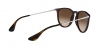 RB4171 Erika Sunglasses