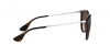 RB4171 Erika Sunglasses