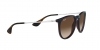 RB4171 Erika Sunglasses
