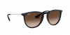 RB4171 Erika Sunglasses
