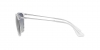 RB4171 Erika Sunglasses