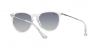 RB4171 Erika Sunglasses