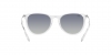 RB4171 Erika Sunglasses
