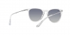 RB4171 Erika Sunglasses