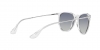 RB4171 Erika Sunglasses