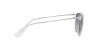 RB4171 Erika Sunglasses