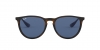 RB4171 Erika Sunglasses