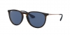 RB4171 Erika Sunglasses