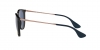 RB4171 Erika Sunglasses