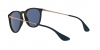 RB4171 Erika Sunglasses