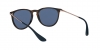 RB4171 Erika Sunglasses