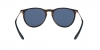 RB4171 Erika Sunglasses