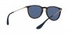 RB4171 Erika Sunglasses