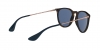 RB4171 Erika Sunglasses