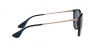 RB4171 Erika Sunglasses