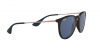 RB4171 Erika Sunglasses